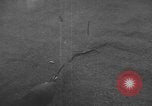 Standbild amerikanische Taucher Golf von Mexiko, 1954, aus Sekunde 39 historischem Filmmaterial Videoclip 65675076505