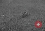 Standbild amerikanische Taucher Golf von Mexiko, 1954, aus Sekunde 47 historischem Filmmaterial Videoclip 65675076505