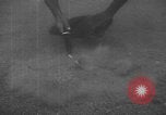 Standbild amerikanische Taucher Golf von Mexiko, 1954, aus Sekunde 52 historischem Filmmaterial Videoclip 65675076505