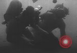 Standbild amerikanische Taucher Golf von Mexiko, 1954, aus Sekunde 54 historischem Filmmaterial Videoclip 65675076505