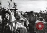 Standbild Vereinigten Staaten Marines Philippinen, 1944, aus Sekunde 27 historischem Filmmaterial Videoclip 65675076508
