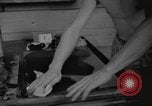 Image of Yank Magazine Pacific Theater, 1945, second 60 stock footage video 65675076519