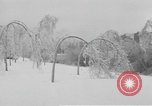 Standbild ice Storm Chicago Illinois USA, 1933, aus Sekunde 25 historischem Filmmaterial Videoclip 65675076527