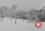 Standbild ice Storm Chicago Illinois USA, 1933, aus Sekunde 27 historischem Filmmaterial Videoclip 65675076527