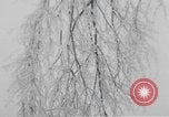 Standbild ice Storm Chicago Illinois USA, 1933, aus Sekunde 28 historischem Filmmaterial Videoclip 65675076527