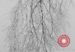 Standbild ice Storm Chicago Illinois USA, 1933, aus Sekunde 29 historischem Filmmaterial Videoclip 65675076527