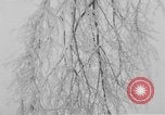Standbild ice Storm Chicago Illinois USA, 1933, aus Sekunde 30 historischem Filmmaterial Videoclip 65675076527