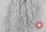 Standbild ice Storm Chicago Illinois USA, 1933, aus Sekunde 31 historischem Filmmaterial Videoclip 65675076527