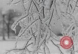 Standbild ice Storm Chicago Illinois USA, 1933, aus Sekunde 34 historischem Filmmaterial Videoclip 65675076527