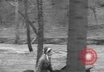 Standbild Anna Eleanor Roosevelt Washington DC USA, 1933, aus Sekunde 15 historischem Filmmaterial Videoclip 65675076530