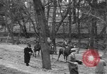Standbild Anna Eleanor Roosevelt Washington DC USA, 1933, aus Sekunde 31 historischem Filmmaterial Videoclip 65675076530