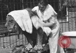 Immagine di Melvin Koontz Los Angeles California USA, 1933, secondo 41 filmato di repertorio 65675076531