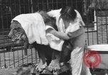 Immagine di Melvin Koontz Los Angeles California USA, 1933, secondo 42 filmato di repertorio 65675076531