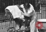 Immagine di Melvin Koontz Los Angeles California USA, 1933, secondo 43 filmato di repertorio 65675076531