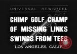 Immagine di Uno scimpanzé Los Angeles California USA, 1935, secondo 1 filmato di repertorio 65675076535