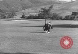 Immagine di Uno scimpanzé Los Angeles California USA, 1935, secondo 25 filmato di repertorio 65675076535