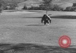 Immagine di Uno scimpanzé Los Angeles California USA, 1935, secondo 26 filmato di repertorio 65675076535