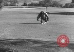 Immagine di Uno scimpanzé Los Angeles California USA, 1935, secondo 27 filmato di repertorio 65675076535