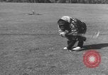 Immagine di Uno scimpanzé Los Angeles California USA, 1935, secondo 36 filmato di repertorio 65675076535