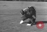 Immagine di Uno scimpanzé Los Angeles California USA, 1935, secondo 37 filmato di repertorio 65675076535