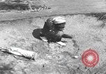 Immagine di Uno scimpanzé Los Angeles California USA, 1935, secondo 40 filmato di repertorio 65675076535