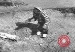 Immagine di Uno scimpanzé Los Angeles California USA, 1935, secondo 42 filmato di repertorio 65675076535