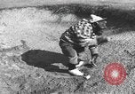 Immagine di Uno scimpanzé Los Angeles California USA, 1935, secondo 45 filmato di repertorio 65675076535