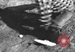 Immagine di Uno scimpanzé Los Angeles California USA, 1935, secondo 51 filmato di repertorio 65675076535