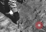 Immagine di Uno scimpanzé Los Angeles California USA, 1935, secondo 56 filmato di repertorio 65675076535