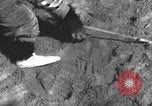 Immagine di Uno scimpanzé Los Angeles California USA, 1935, secondo 57 filmato di repertorio 65675076535