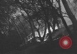 Immagine di Incendio di boschi Malibu Hills California USA, 1935, secondo 38 filmato di repertorio 65675076536