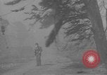 Immagine di Incendio di boschi Malibu Hills California USA, 1935, secondo 62 filmato di repertorio 65675076536
