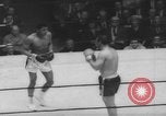 Immagine di Golden torneo di guanti New York United States USA, 1960, secondo 59 filmato di repertorio 65675076544