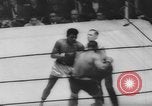 Immagine di Golden torneo di guanti New York United States USA, 1960, secondo 62 filmato di repertorio 65675076544
