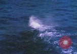 Image of Submarine at periscope depth Mediterranean Sea, 1966, second 19 stock footage video 65675076553
