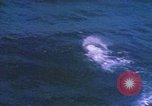Image of Submarine at periscope depth Mediterranean Sea, 1966, second 23 stock footage video 65675076553