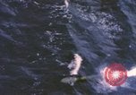 Standbild porpoising Mk 16 Torpedo Pazifik, 1966, aus Sekunde 5 historischem Filmmaterial Videoclip 65675076558