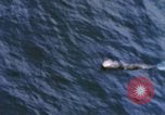 Standbild porpoising Mk 16 Torpedo Pazifik, 1966, aus Sekunde 13 historischem Filmmaterial Videoclip 65675076558