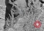 Image of Berlin Wall early history Berlin Germany, 1961, second 18 stock footage video 65675076563