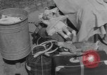 Image of Berlin divided Berlin Germany, 1961, second 27 stock footage video 65675076564