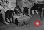 Image of Berlin divided Berlin Germany, 1961, second 48 stock footage video 65675076564