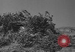 Image of U.S. Marine Corps Womens Reserve United States USA, 1944, second 51 stock footage video 65675076573