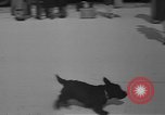 Image of women Marines being trained in World War 2 Jacksonville North Carolina USA, 1944, second 53 stock footage video 65675076574