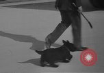 Image of women Marines being trained in World War 2 Jacksonville North Carolina USA, 1944, second 54 stock footage video 65675076574