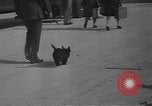 Image of women Marines being trained in World War 2 Jacksonville North Carolina USA, 1944, second 56 stock footage video 65675076574