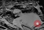Immagine di Donna Esercito unità mediche United States USA, 1944, secondo 18 filmato di repertorio 65675076584