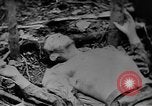 Immagine di Donna Esercito unità mediche United States USA, 1944, secondo 20 filmato di repertorio 65675076584