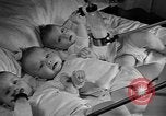 Image triplés Weymouth Massachusetts USA, 1944, de la seconde 21 séquences d'archives historiques vidéo 65675076587