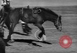 Standbild Rodeo Sydney Australien, 1944, aus Sekunde 45 historischem Filmmaterial Videoclip 65675076593
