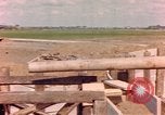 Image of German anti-aircraft gun Germany, 1945, second 36 stock footage video 65675076618